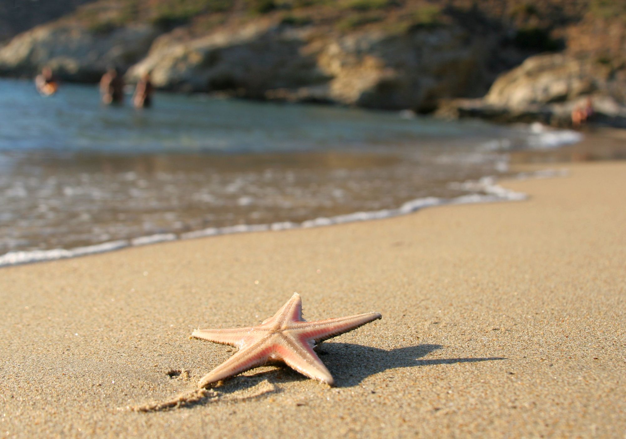 Starfish on the sand next to the wave.