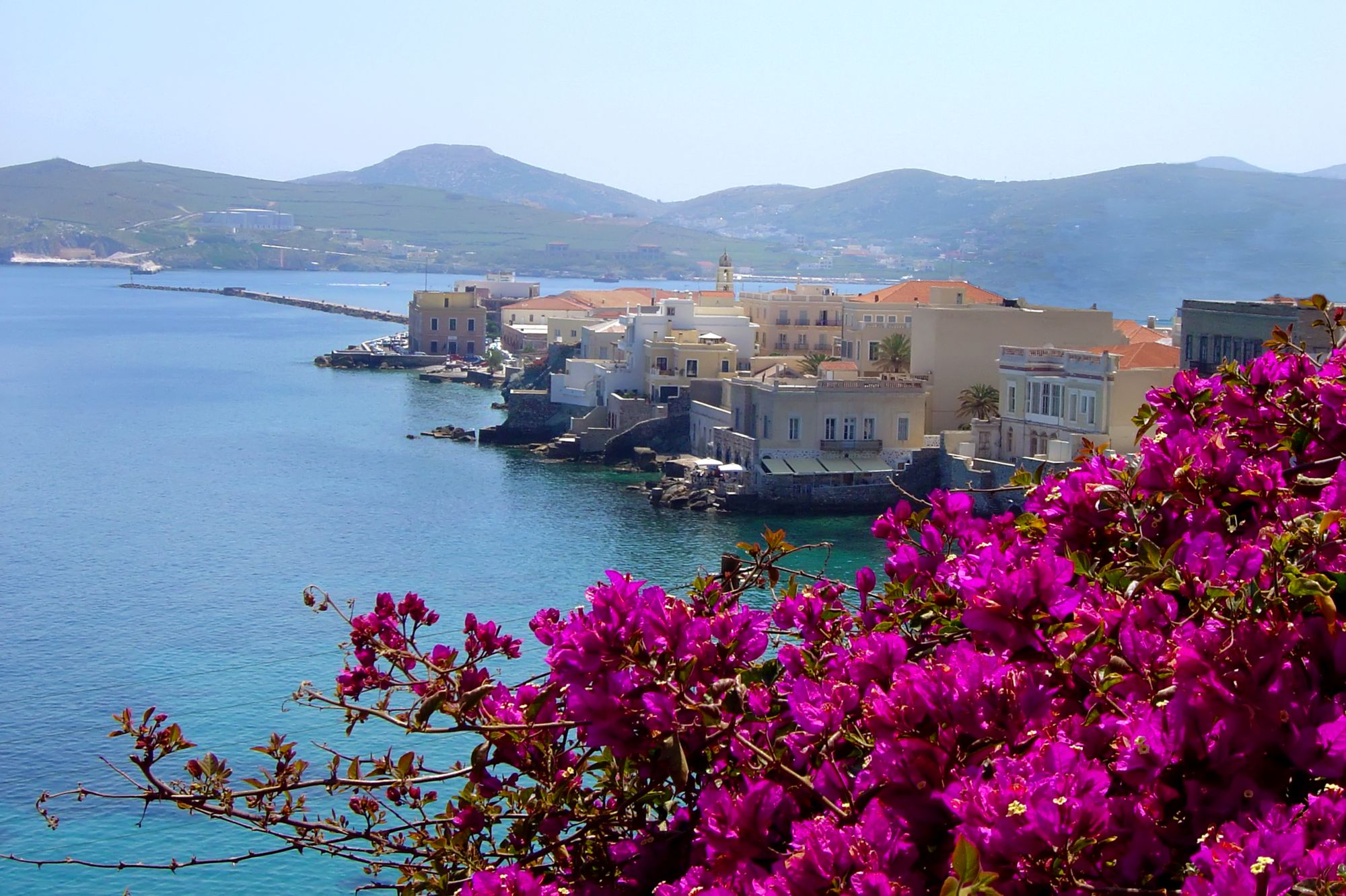 Sea view with a blooming rose pant and the picturesque houses of Syros in the background.